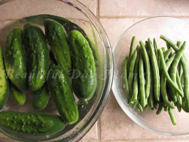 fresh pickling cucumbers soaking in water and a pile of green beans