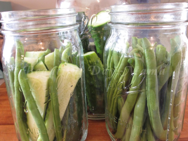 herbs and vegetables packed into sterilized canning jars